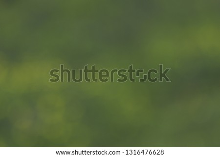 Blurred Defocused Natural and Colorful Bokeh. Abstract Pattern Green Texture Background