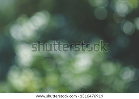 Blurred Defocused Natural and Colorful Bokeh. Abstract Pattern Green Texture Background