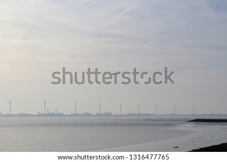 a seagull over the North Sea
