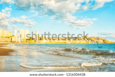 Summer sea background