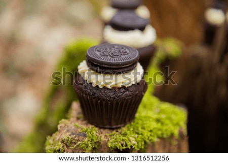 Cupcake cakes in the middle of forest on a moss dark cream with a biscuit and pink black cakes for a wedding ceremony