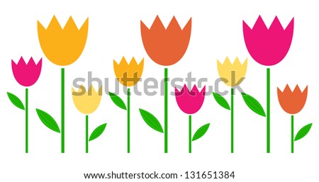 Colorful spring Tulips in row isolated on white