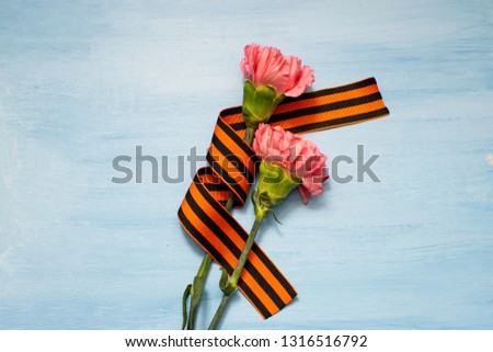 Pink Carnation with St. George ribbon on blue background, symbol of the great Victory, symbol of world war II.