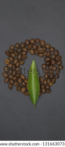 coffee beans photoshoot