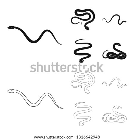 Vector illustration of mammal and danger icon. Collection of mammal and medicine stock vector illustration.