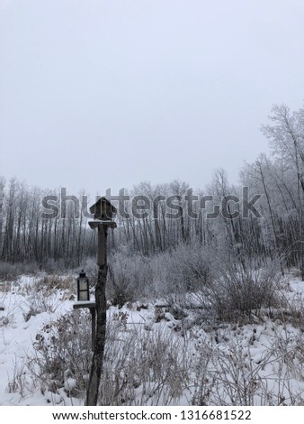 Winter birdhouse view