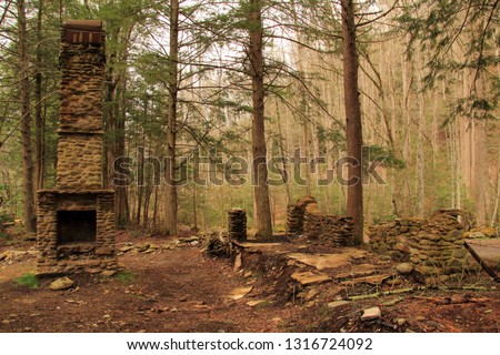 Numerous ruins, such as the ones pictured here, can be found scattered throughout the Elkmont Historic District in Great Smokey Mountains National Park, Tennessee