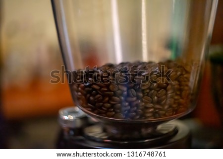 coffee seed roasters 