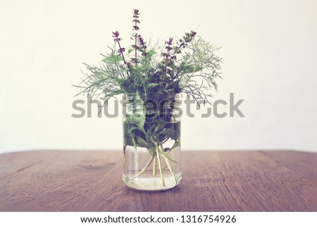 Basil leaf plant and wild flower in the glass bottle vase on the wooden table in the coffee shop cafe with vintage filter