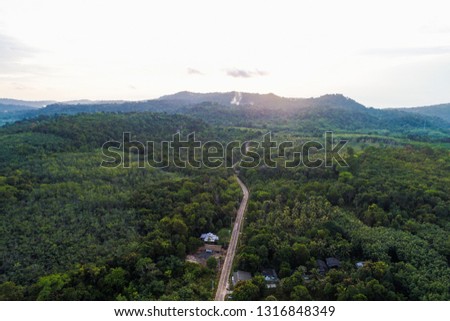 Aerial view tropical green forest with road on island nature landscape