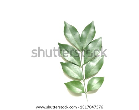 Multiple green leaves growth on empty over white background, with glare light, with space for your text design.