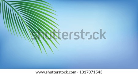 green palm leaf on blue sky background for summer holiday design vector illustration EPS10