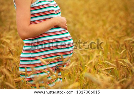 belly of a pregnant woman in a striped dress on the street in a field with spikelets