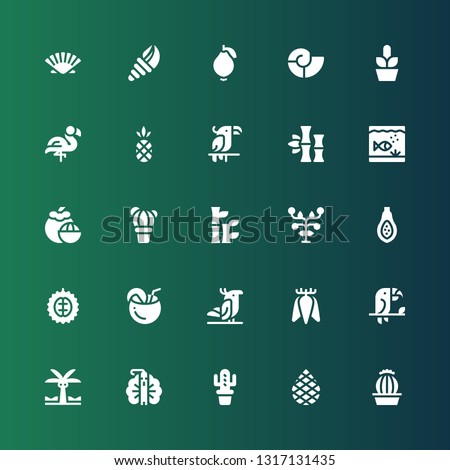 exotic icon set. Collection of 25 filled exotic icons included Cactus, Palm, Peacock, Palm tree, Toucan, Tuber, Parrot, Coconut, Durian, Papaya, Fruits, Bamboo, Mangosteen, Aquarium