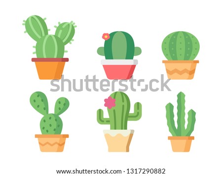 Cute succulent or cactus plant in pots on white back ground.