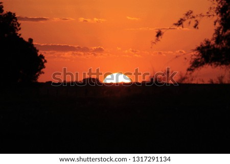 orange sunset at brasilian pampas 
