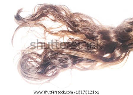 Brown frizzy hair spread on a white background
