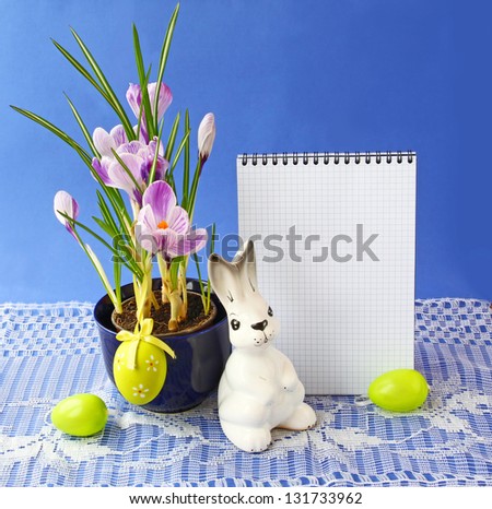 Striped white-violet crocuses " Pickwick" and easters eggs on a background the clean page of notebook for text