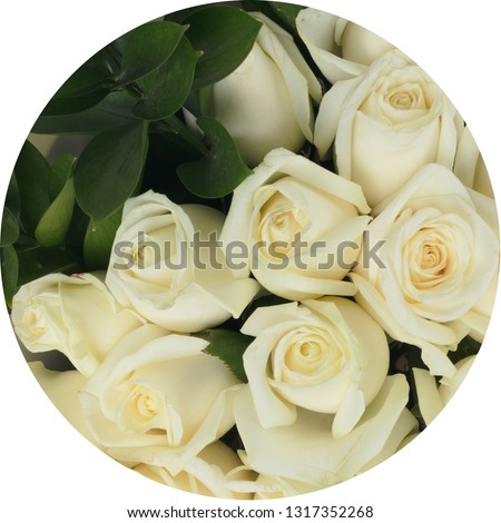 Closely photographed flowers are cropped in a circle on a white background, abstract background of flowers. Close-up white roses