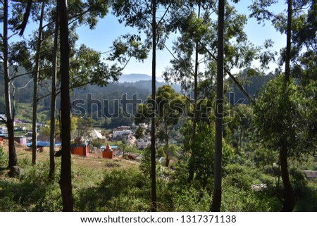 House in the forest or mountain
