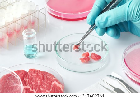 Meat sample in open  disposable plastic cell culture dish in modern laboratory or production facility. Concept of clean meat cultured in vitro from animal somatic cells. Royalty-Free Stock Photo #1317402761