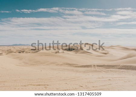 The golden sand at the Imperial Sand Dunes