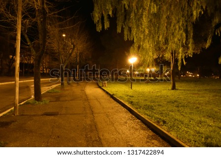 Night illuminated city park by lamps in the city