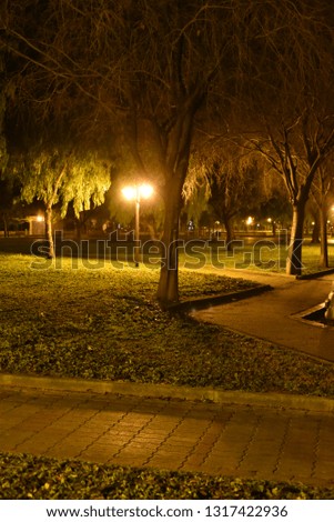 Night illuminated city park by lamps in the city
