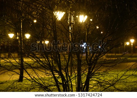 Night public park in the city illuminated by lamps