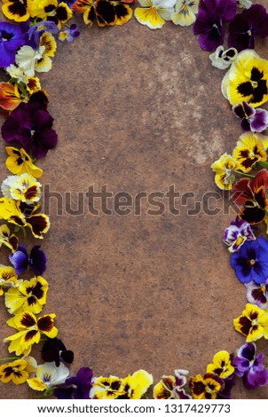 Multicolored fresh Pansies frame on brown wooden background
