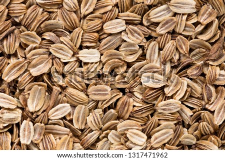 High quality seeds of lovage, in a texture form for your personal garden. Can be used by seed producers for create new unique   packaging with seed on background. High resolution photo.