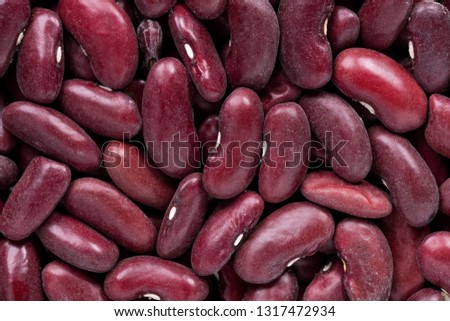 High quality seeds of beans in violet color, legumes in a texture form for your beautiful garden. Can be used by seed producers for create new packaging with seed on background. High resolution photo.