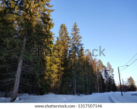 Picture of woods and road, you can also see moon shining in the sky.