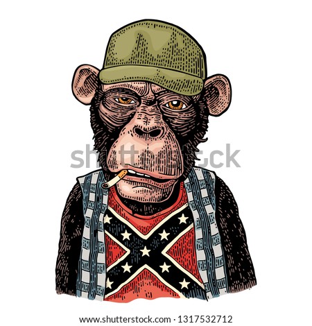 Monkey smokes cigarette in trucker cap, checkered shirt, t-shirt with the flag of the Confederate. Vintage color engraving illustration for poster. Isolated on white background