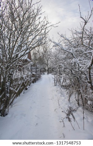 Snowy path in the village.