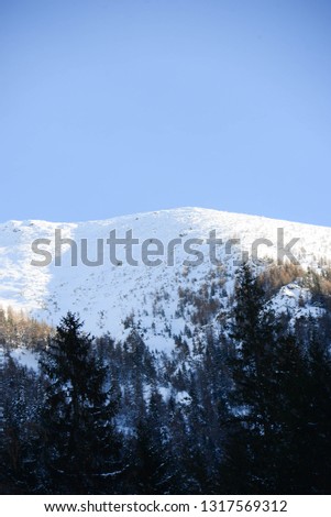 Mountains covered with snow in winter in Ziarska valley, West Tatras, Liptov region. Coniferous spruce trees. Slovakia.