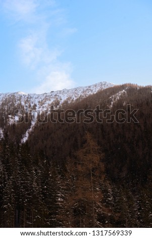 Mountains covered with snow in winter in Ziarska valley, West Tatras, Liptov region. Coniferous spruce trees. Slovakia.