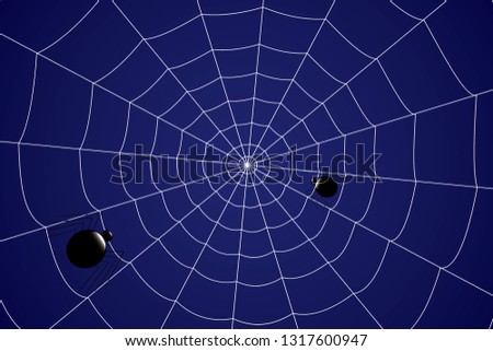 Creepy spider web with spiders on a blue background