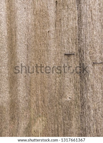 Wood background and texture 