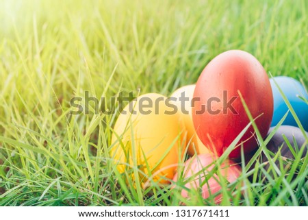 Beautiful Easter colorful multi color eggs on green grass garden background, Happy Easter festival day concept, summer spring decor