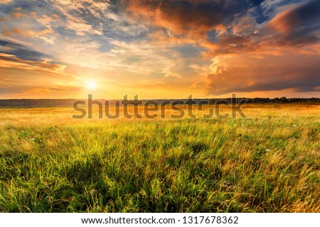 Summer landscape with uncultivated field and beautiful sunset above it.