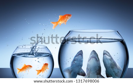 Shark Trap - Business Risk Concept - Goldfish Jumping In Shark Tank
 Royalty-Free Stock Photo #1317698006