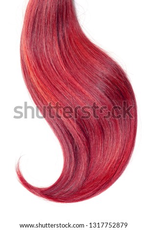 Pink hair, isolated on white background. Long and disheveled ponytail