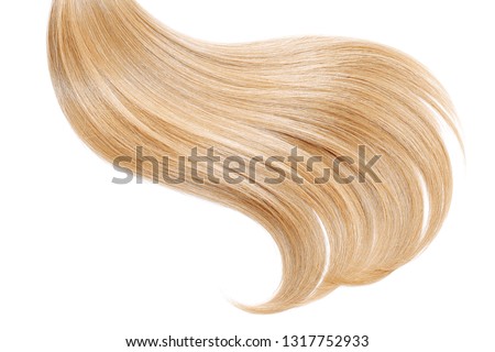 Blond hair, isolated on white background. Long ponytail