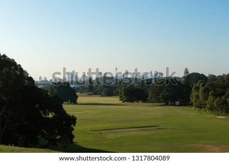 Empty green park with Sydney skyline on the distance.
