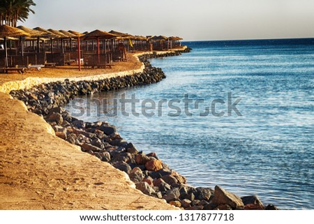 beach in the egypt as very nice background