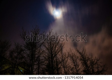 long time exposure of a cloudy moon night with trees in front