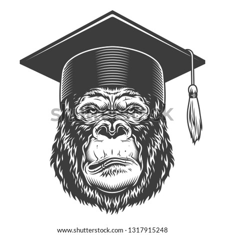 Serious gorilla in monochrome style in graduate hat.  illustration