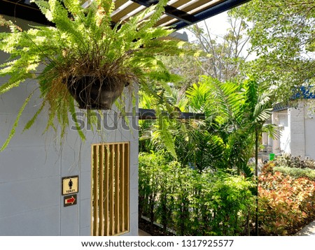 Woman toilet tag sign or icon with red arrow to the right on gray brick wall with hanging fern tree on wooden roof  and green tree background  