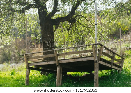 Tree house. Country house. Wooden structure near the tree. Flowering tree.
